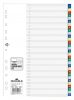 Elválasztólap A4 31 részes 1-31 színregiszter és fedlap PP